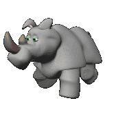 Kijk, een neushoorn!